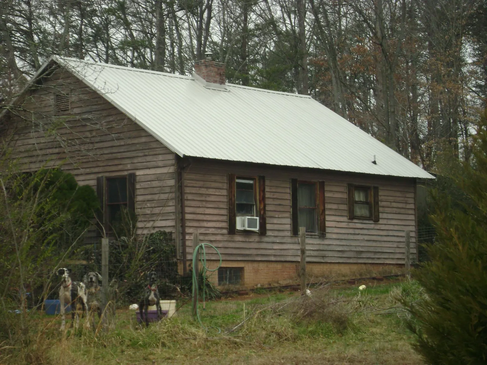 White metal roof on an old wood sided farmhouse, from a Asphalt Shingle Roof Repair job in Eureka